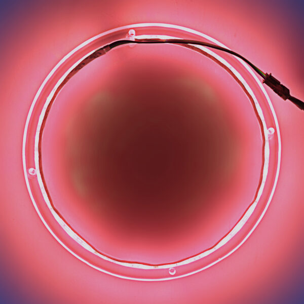 Anel de LED RGB 8 Pol. AudioPipe NL-RIAPMP-8 PAR - Imagem 5